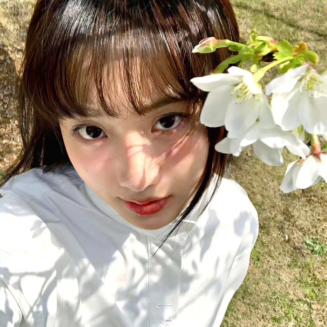莲花仙子